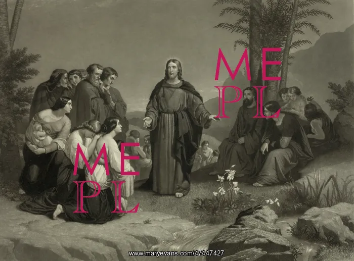  : Parable of the lilies
