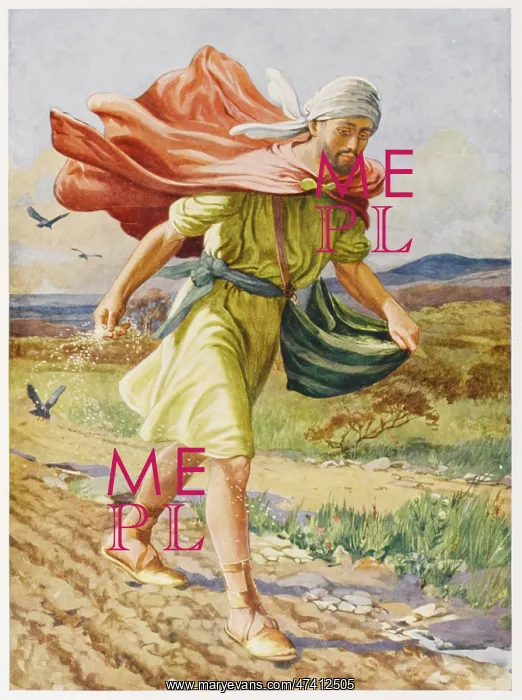 : The Parable of the Sower : The Parable of the Sower
