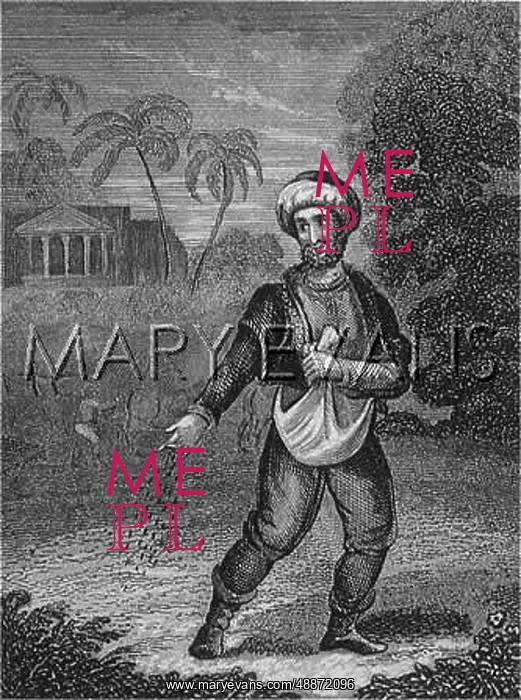 : PARABLE OF THE SOWER : PARABLE OF THE SOWER