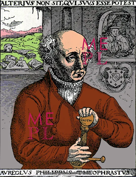 : Paracelsus, Swiss Polymath : Paracelsus, Swiss Polymath