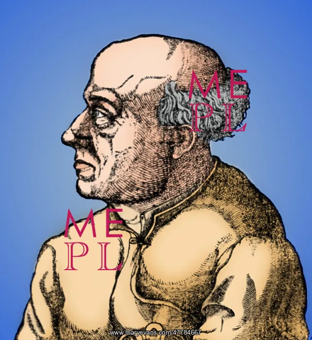 : Paracelsus, Swiss Polymath : Paracelsus, Swiss Polymath