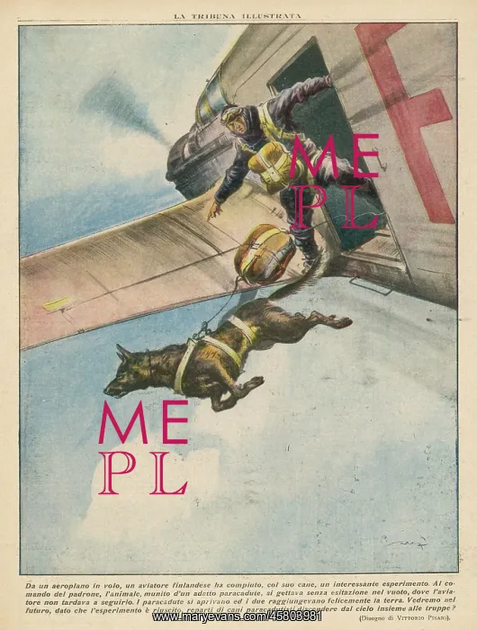 : PARACHUTE. A Finnish parachutist jumps with his dog, who leaps : PARACHUTE. A Finnish parachutist jumps with his dog, who leaps