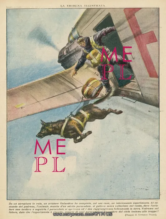 : PARACHUTE. A Finnish parachutist jumps with his dog, who leaps : PARACHUTE. A Finnish parachutist jumps with his dog, who leaps