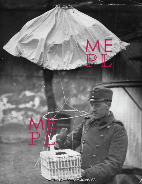 : A parachute for the Army carrier pigeons : A parachute for the Army carrier pigeons