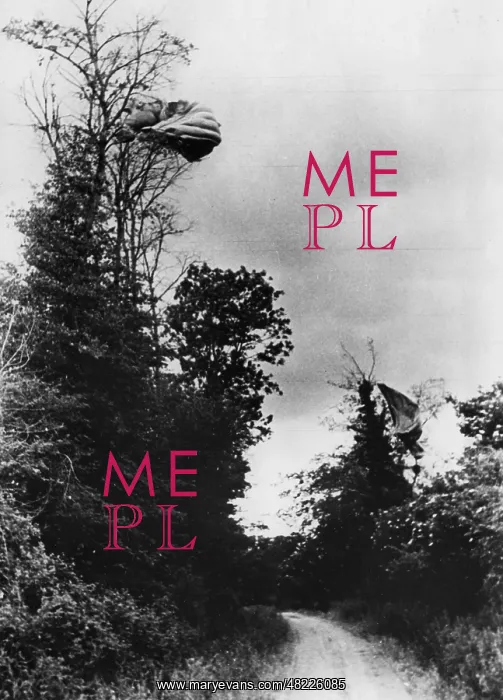 : Parachutes of British airborne troops on trees, 1944 : Parachutes of British airborne troops on trees, 1944