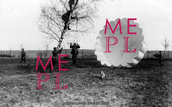 : Parachutist in a tree, 1918 : Parachutist in a tree, 1918