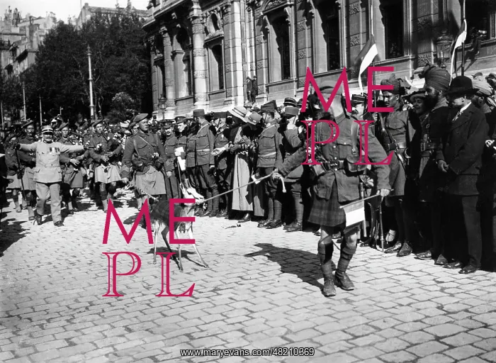 : Parade of British troops in Marseille : Parade of British troops in Marseille