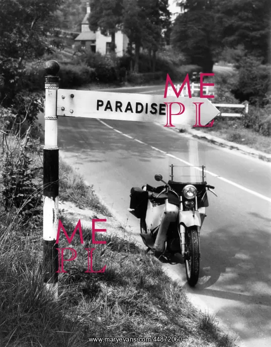 : PARADISE THIS WAY! : PARADISE THIS WAY!