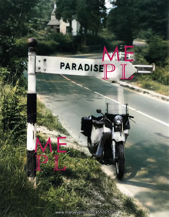 : PARADISE THIS WAY! : PARADISE THIS WAY!