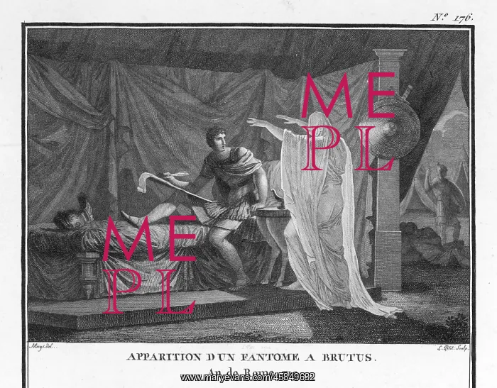 : PARANORMAL / APPARITIONS : PARANORMAL / APPARITIONS