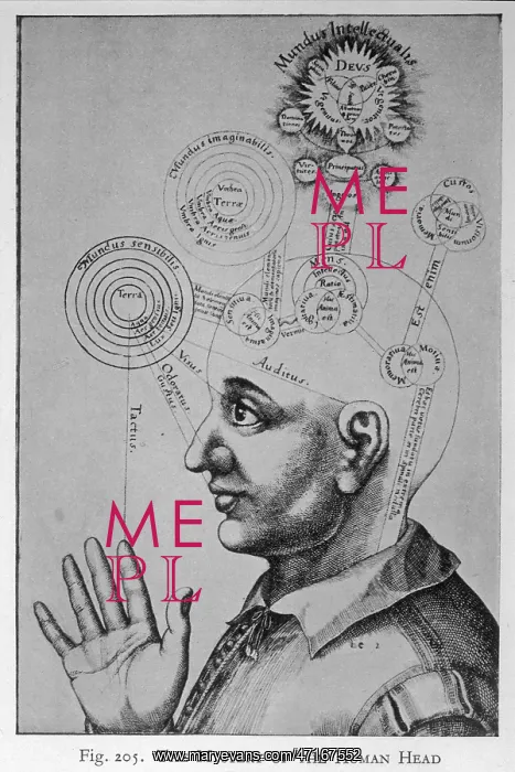 : Paranormal: phrenology : Paranormal: phrenology
