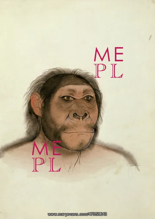 : Paranthropus boisei (based on OH5) : Paranthropus boisei (based on OH5)