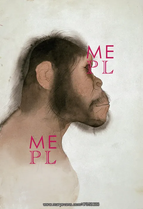 : Paranthropus boisei (OH5) : Paranthropus boisei (OH5)