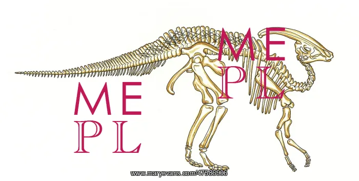  : Parasaurolophus skeleton