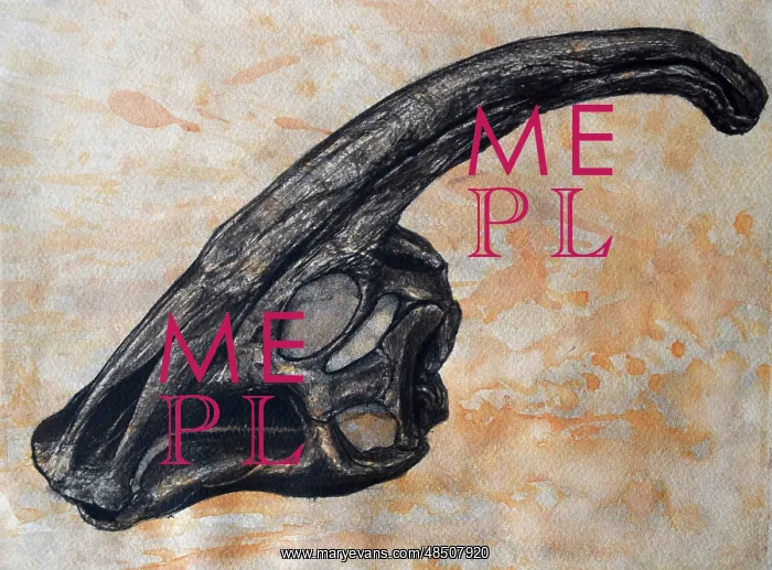 : Parasaurolophus walkerii dinosaur skull : Parasaurolophus walkerii dinosaur skull
