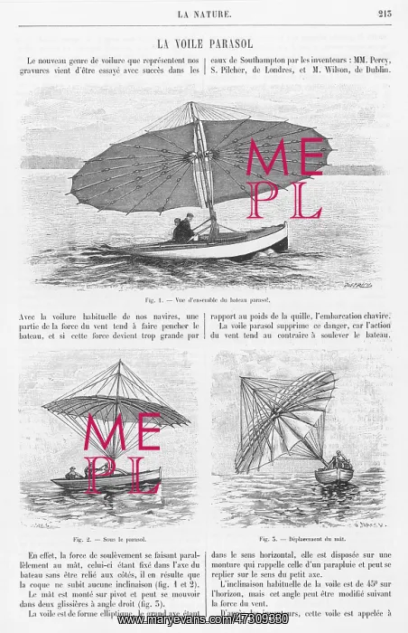 : Parasol Yacht : Parasol Yacht