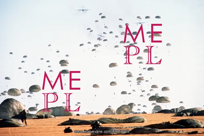 : Paratroopers from the 82nd Airborne Division ? : Paratroopers from the 82nd Airborne Division ?