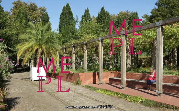 : Parc de Bercy, Paris, France : Parc de Bercy, Paris, France