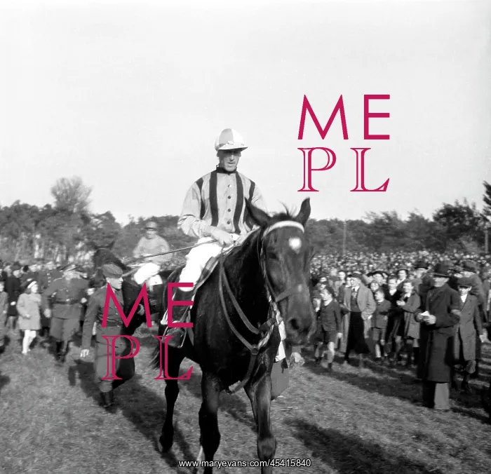: Pardubice Derby - steeplechase - horse race : Pardubice Derby - steeplechase - horse race