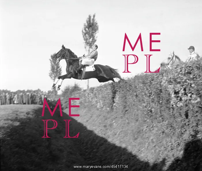 : Pardubice horse race : Pardubice horse race