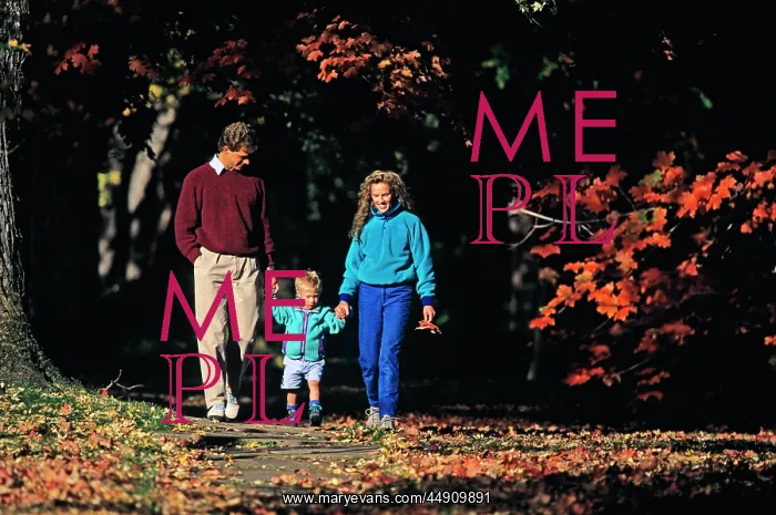  : Parents and Son Walking on Sidewalk in Autumn