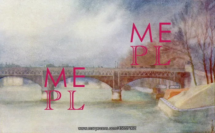  : PARIS / BRIDGE / IENA 1908