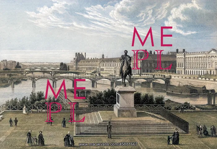 : PARIS / BRIDGE / PONT NEUF : PARIS / BRIDGE / PONT NEUF