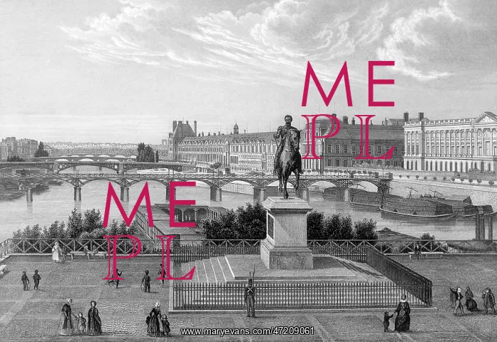 : PARIS / BRIDGE / PONT NEUF : PARIS / BRIDGE / PONT NEUF