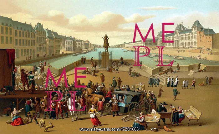 : PARIS / BRIDGE / PONT NEUF