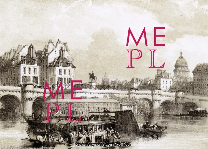  : PARIS / BRIDGE / PONT NEUF