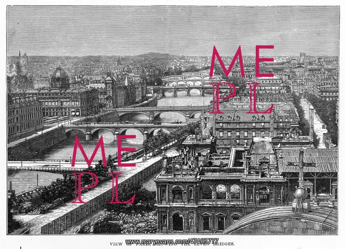 : PARIS BRIDGES : PARIS BRIDGES