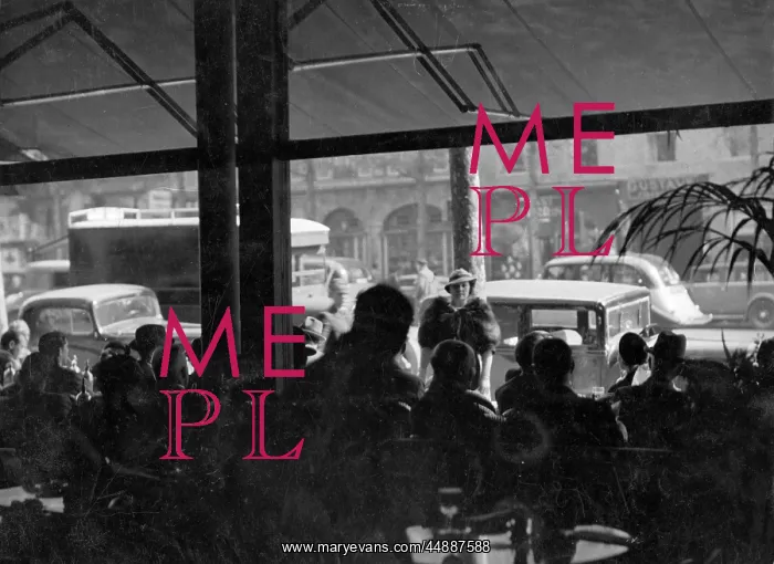 : PARIS CAFE CULTURE : PARIS CAFE CULTURE