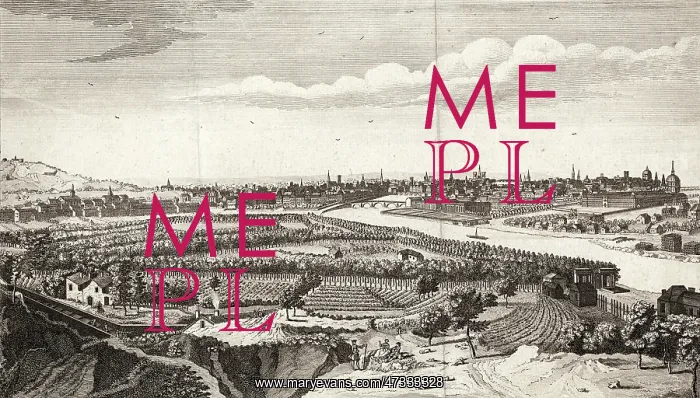 : PARIS FROM CHAILLOT : PARIS FROM CHAILLOT