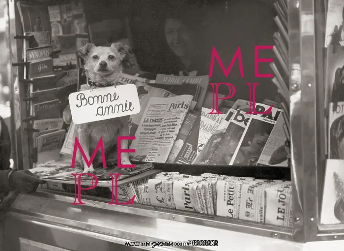 : Paris dog with board : Paris dog with board