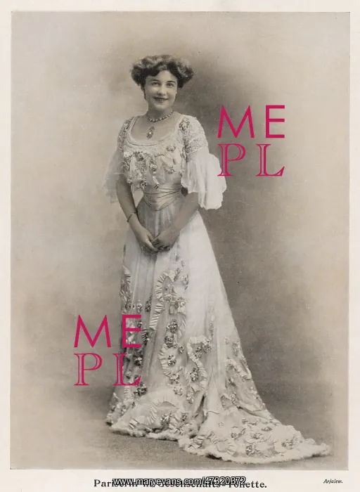 : Paris Evening Gown 1904 : Paris Evening Gown 1904