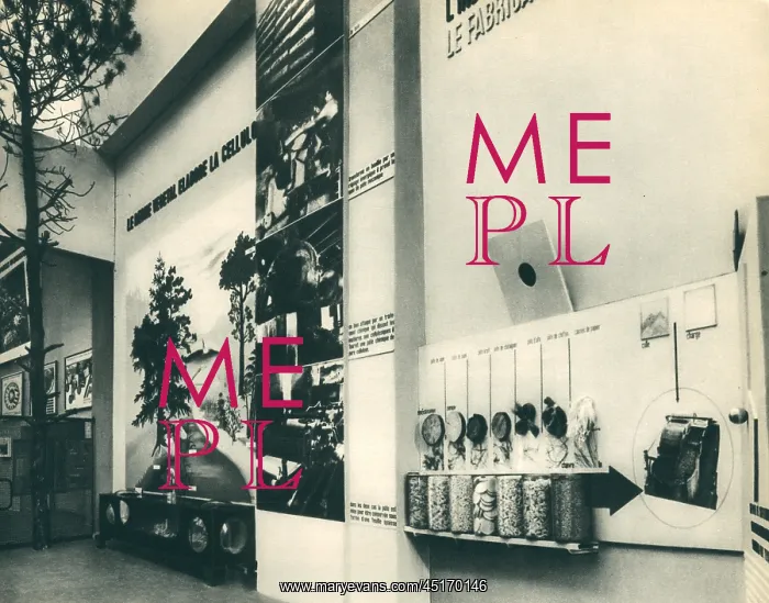 : Paris Expo 1937, Development Of Cellulose : Paris Expo 1937, Development Of Cellulose