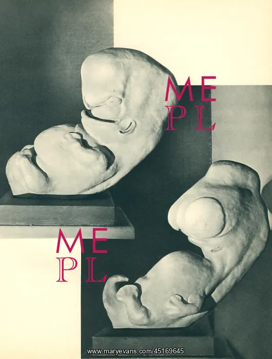 : Paris Expo 1937, Embryo Models : Paris Expo 1937, Embryo Models