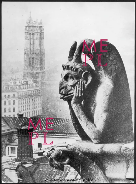 : PARIS GARGOYLE : PARIS GARGOYLE