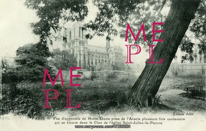 : PARIS / NOTRE DAME C1910 : PARIS / NOTRE DAME C1910