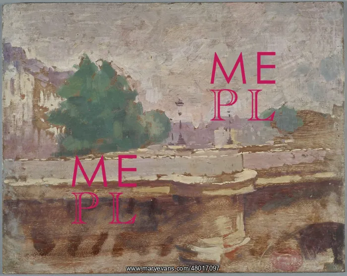 : Paris, the Pont-Neuf Bridge : Paris, the Pont-Neuf Bridge