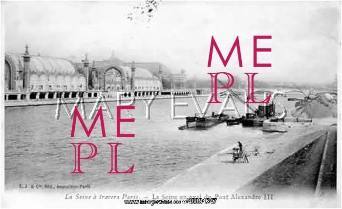  : PARIS / SEINE / PONT ALEXAND