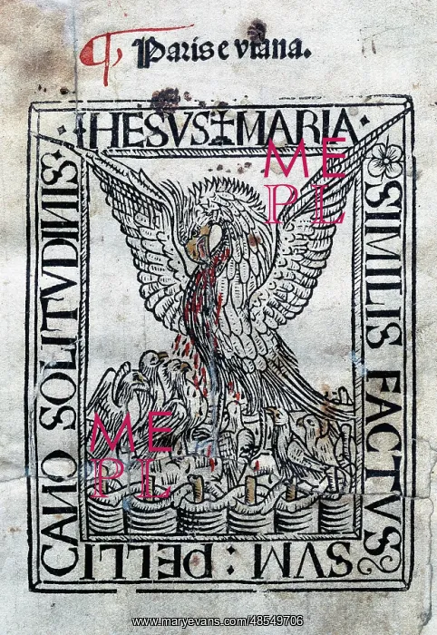 : Paris and Viana.15th century : Paris and Viana.15th century