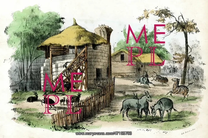  : PARIS ZOO - MAMMALS