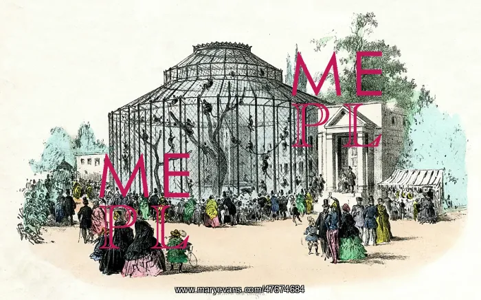: Paris Zoo - Monkeys : Paris Zoo - Monkeys