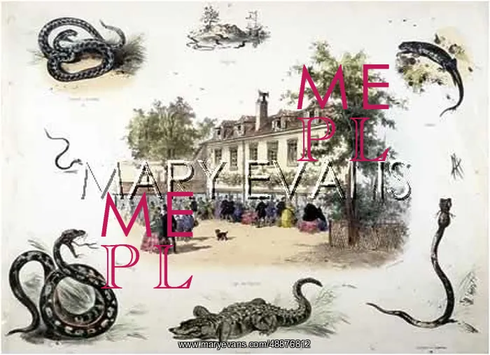  : PARIS ZOO - REPTILES