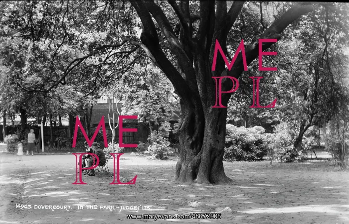: In the Park : In the Park