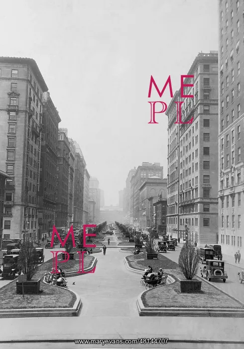 : Park Avenue in New York, 1925 : Park Avenue in New York, 1925