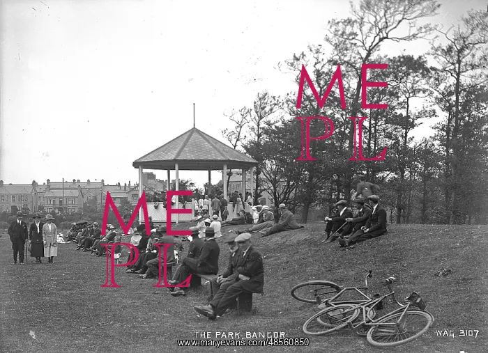 : The Park, Bangor : The Park, Bangor