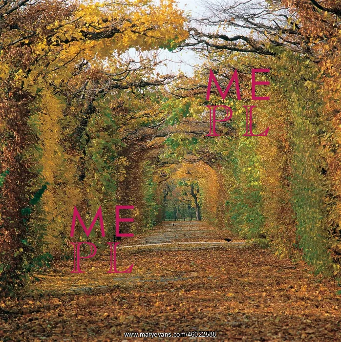 : The park of Castle Schoenbrunn : The park of Castle Schoenbrunn