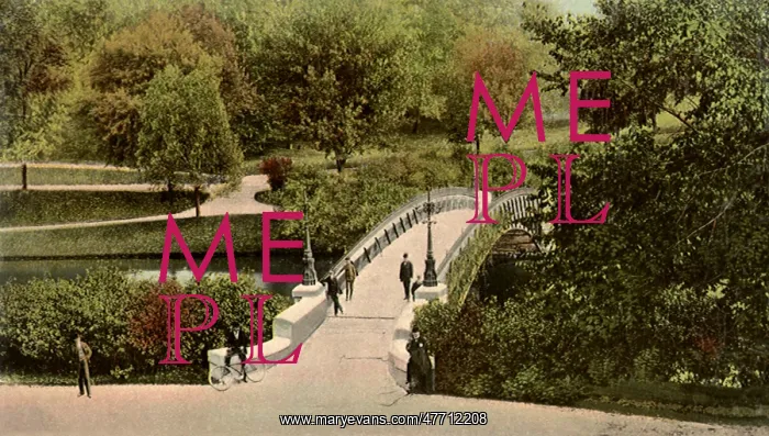  : Park Foot Bridge. Albany